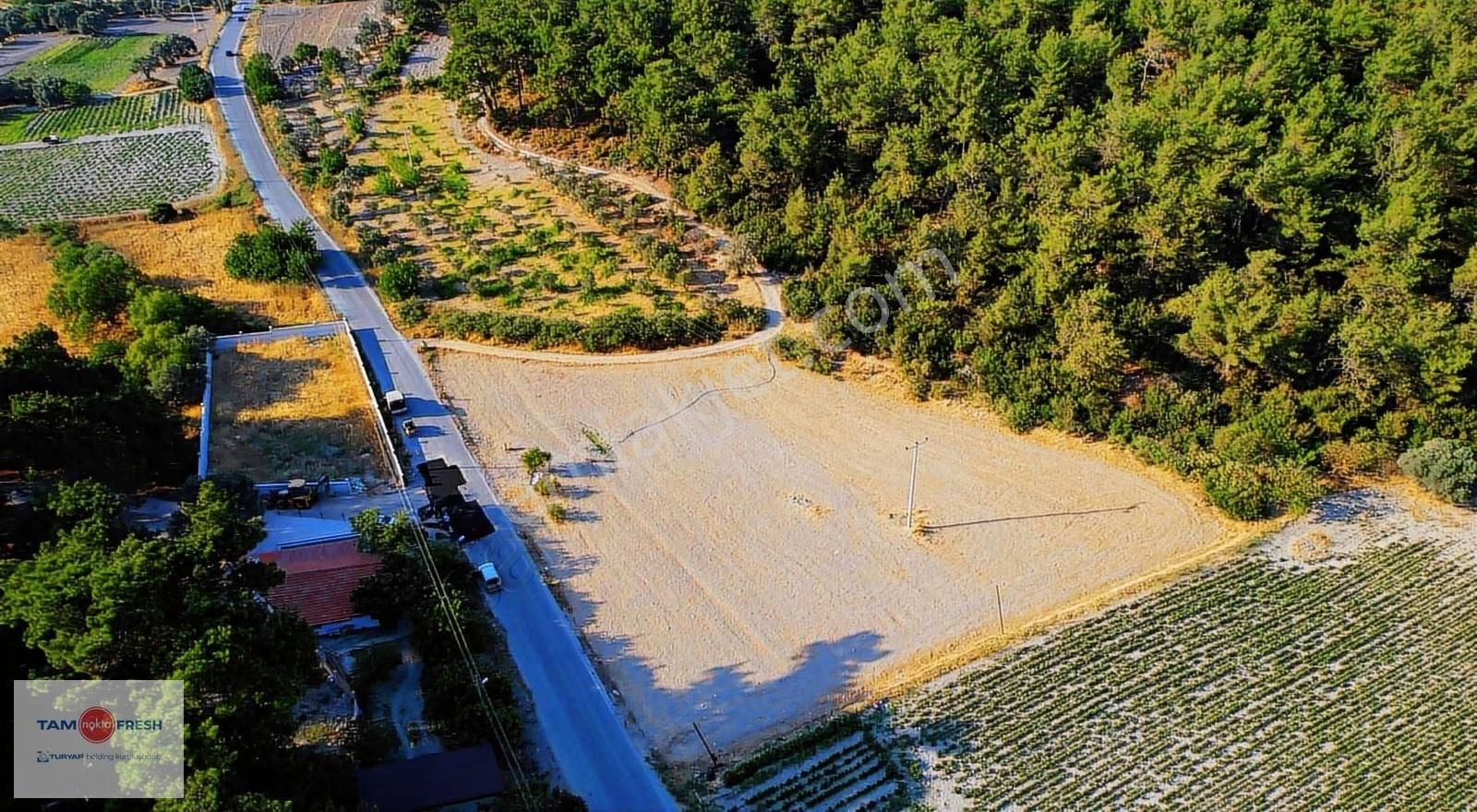 Yağcılar'da Satılık Elektriği Suyu Asfalt Yolu Olan Tarla - Görsel 31