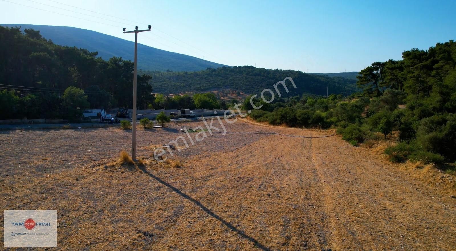 Yağcılar'da Satılık Elektriği Suyu Asfalt Yolu Olan Tarla - Görsel 10