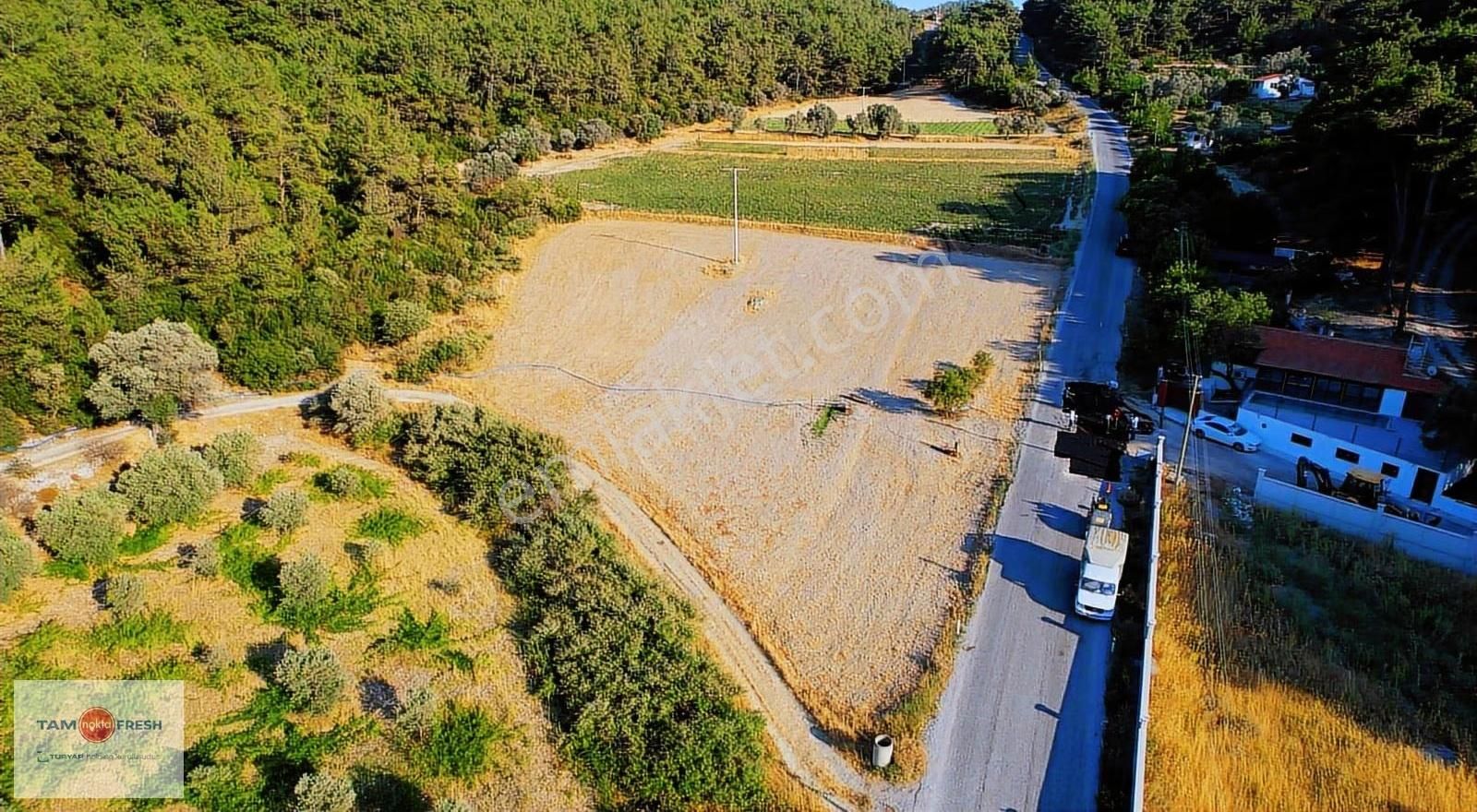 Yağcılar'da Satılık Elektriği Suyu Asfalt Yolu Olan Tarla - Görsel 20