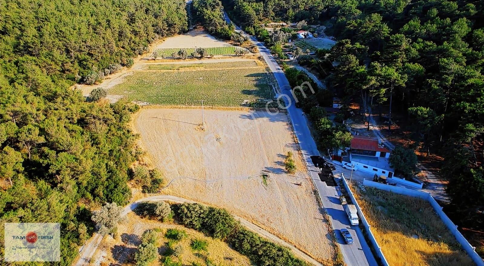 Yağcılar'da Satılık Elektriği Suyu Asfalt Yolu Olan Tarla - Görsel 14