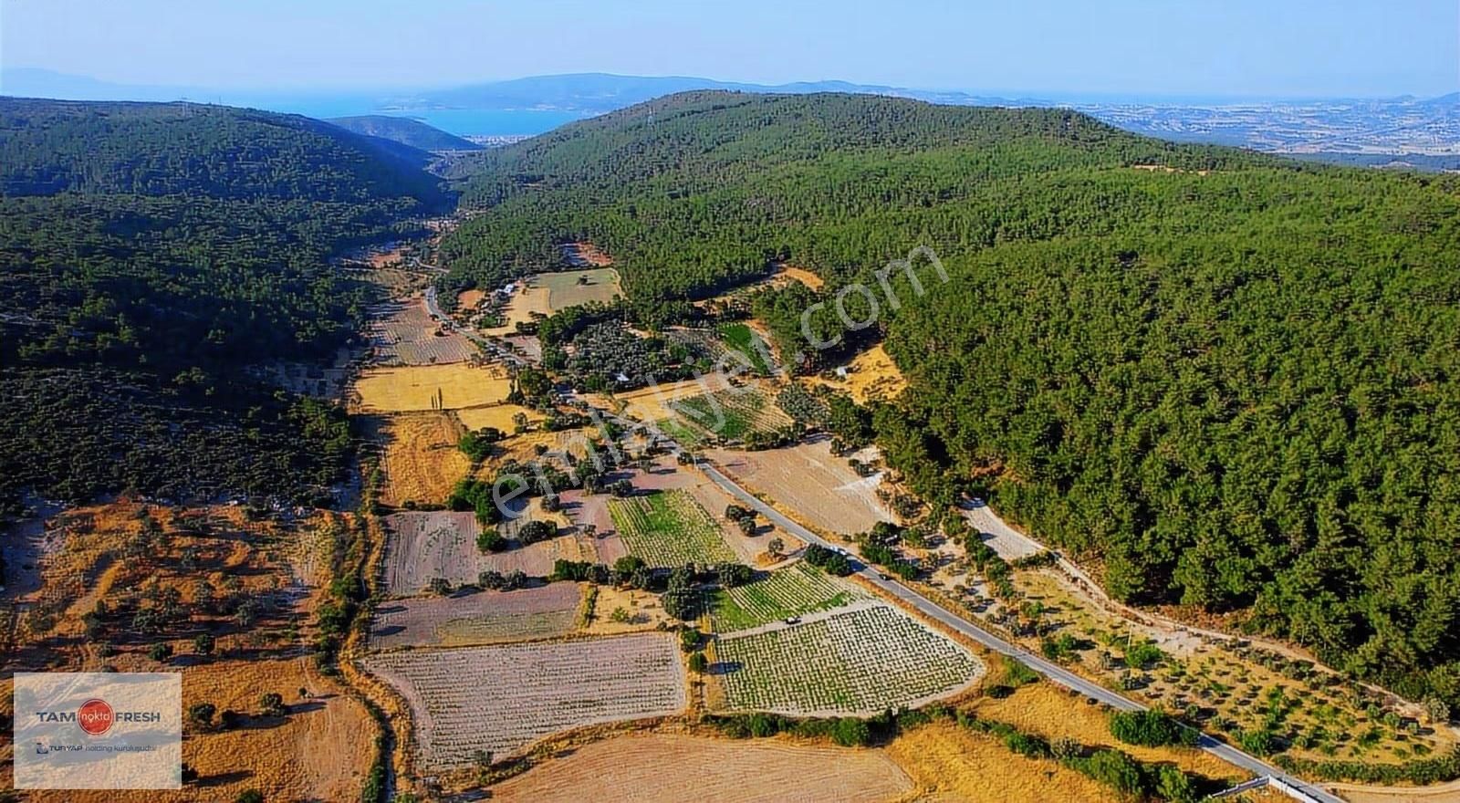 Yağcılar'da Satılık Elektriği Suyu Asfalt Yolu Olan Tarla - Görsel 9