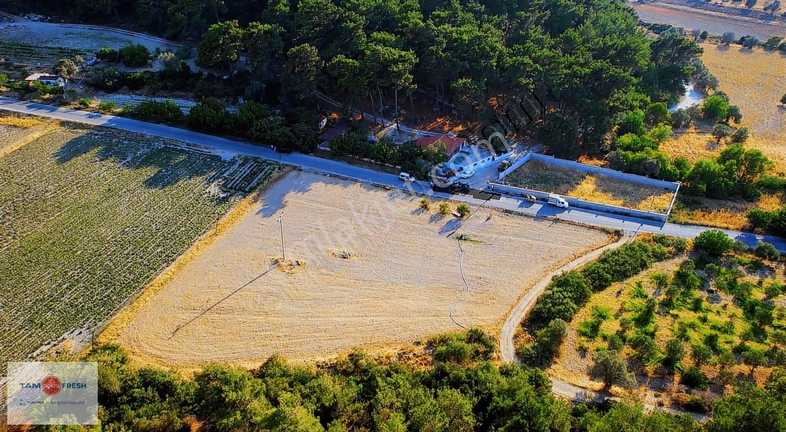 Yağcılar'da Satılık Elektriği Suyu Asfalt Yolu Olan Tarla - Görsel 29