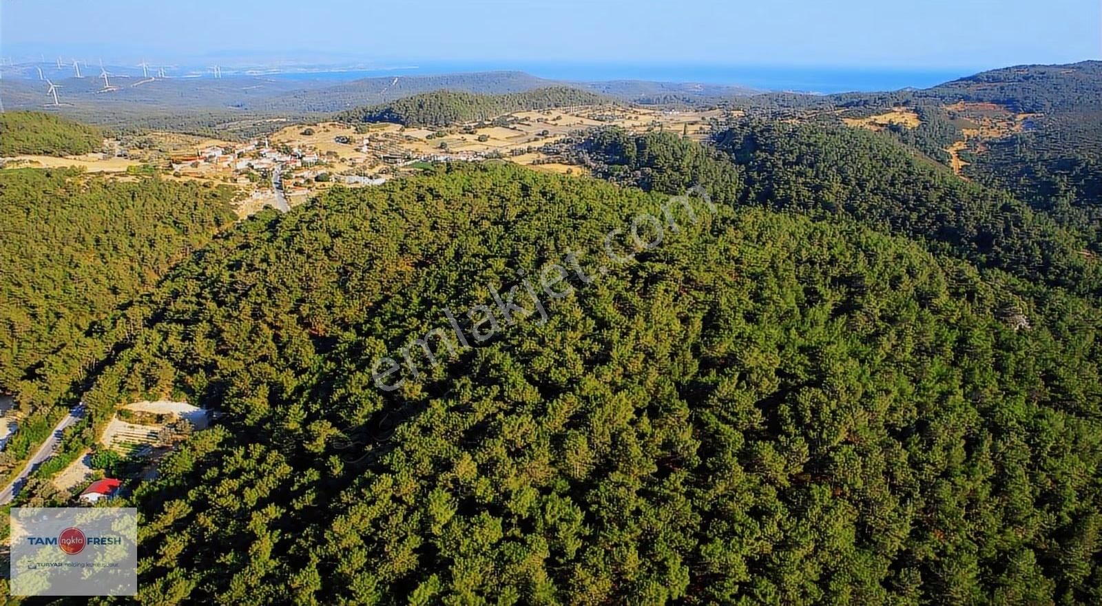 Yağcılar'da Satılık Elektriği Suyu Asfalt Yolu Olan Tarla - Görsel 28