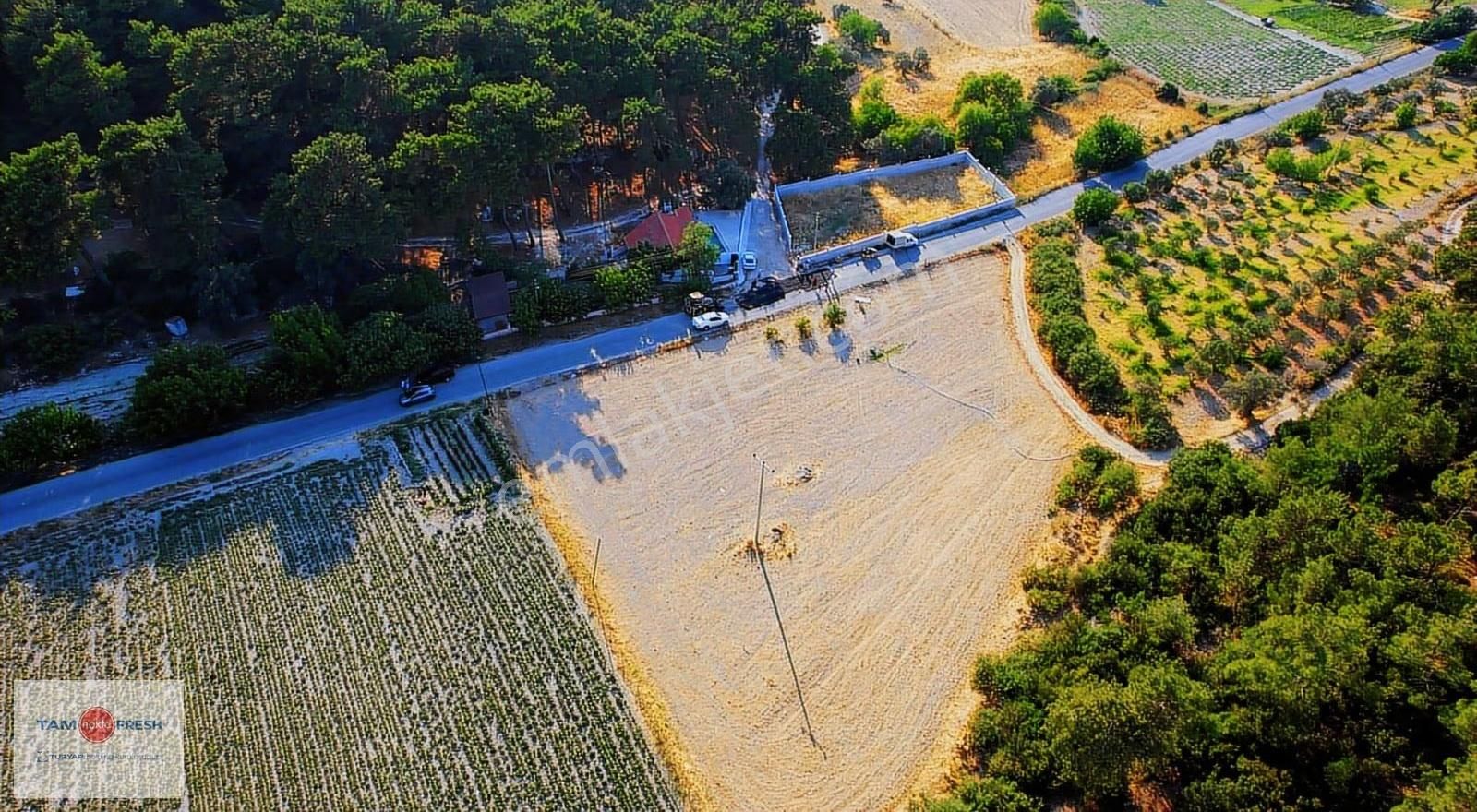 Yağcılar'da Satılık Elektriği Suyu Asfalt Yolu Olan Tarla - Görsel 23