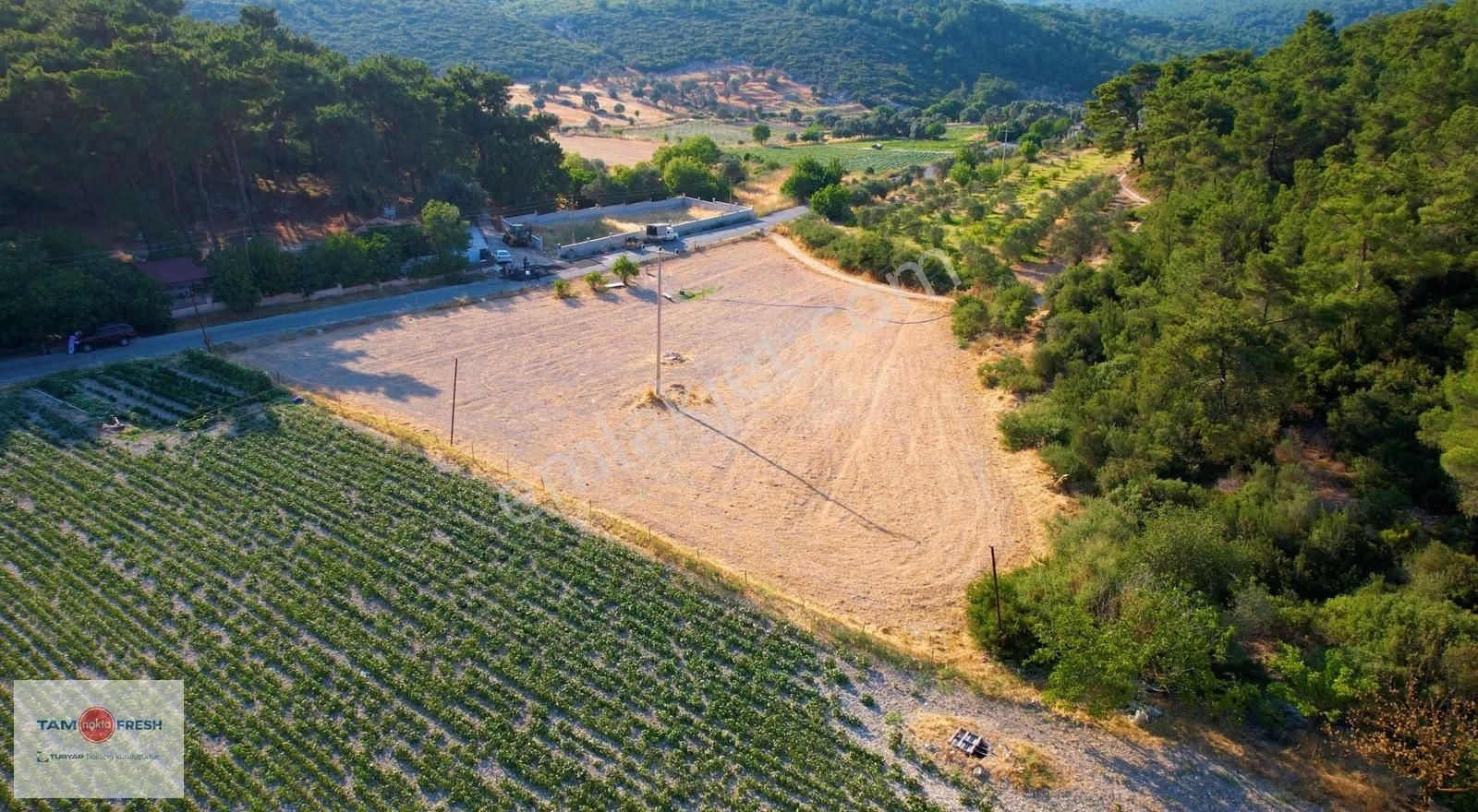 Yağcılar'da Satılık Elektriği Suyu Asfalt Yolu Olan Tarla - Görsel 26