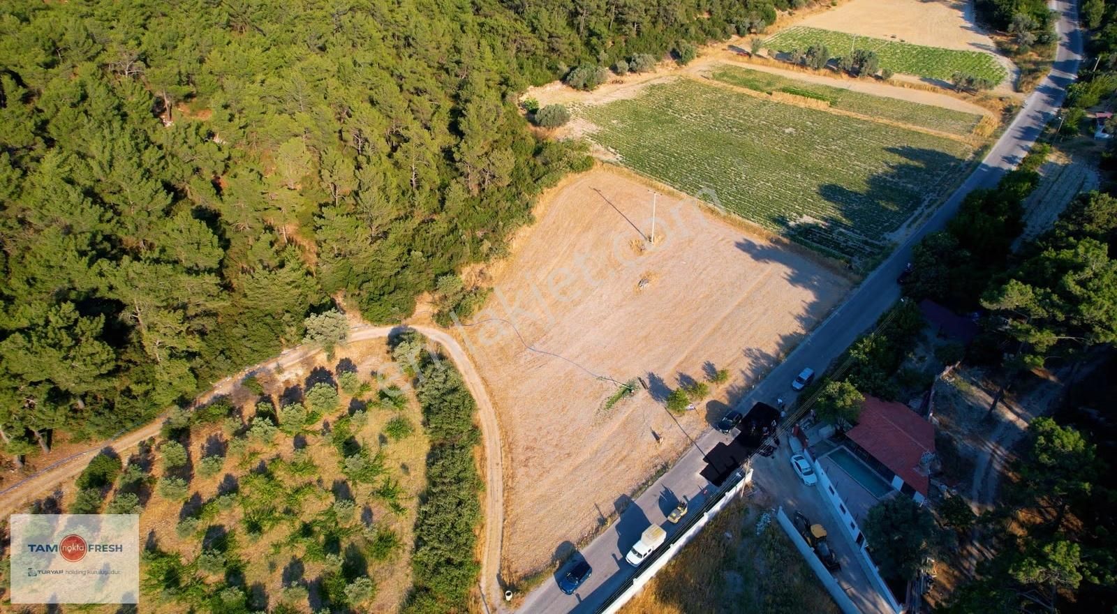 Yağcılar'da Satılık Elektriği Suyu Asfalt Yolu Olan Tarla - Görsel 19