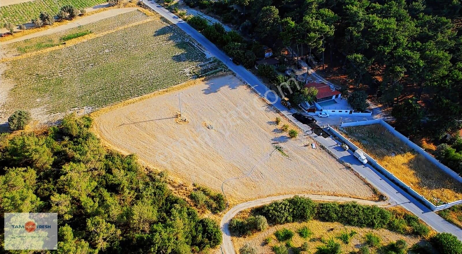 Yağcılar'da Satılık Elektriği Suyu Asfalt Yolu Olan Tarla - Görsel 27