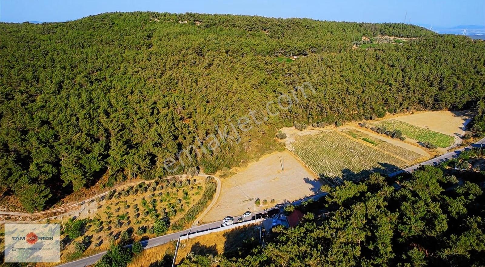 Yağcılar'da Satılık Elektriği Suyu Asfalt Yolu Olan Tarla - Görsel 17