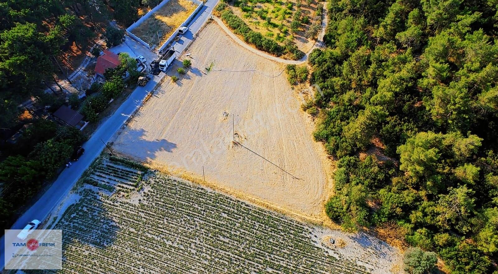 Yağcılar'da Satılık Elektriği Suyu Asfalt Yolu Olan Tarla - Görsel 15