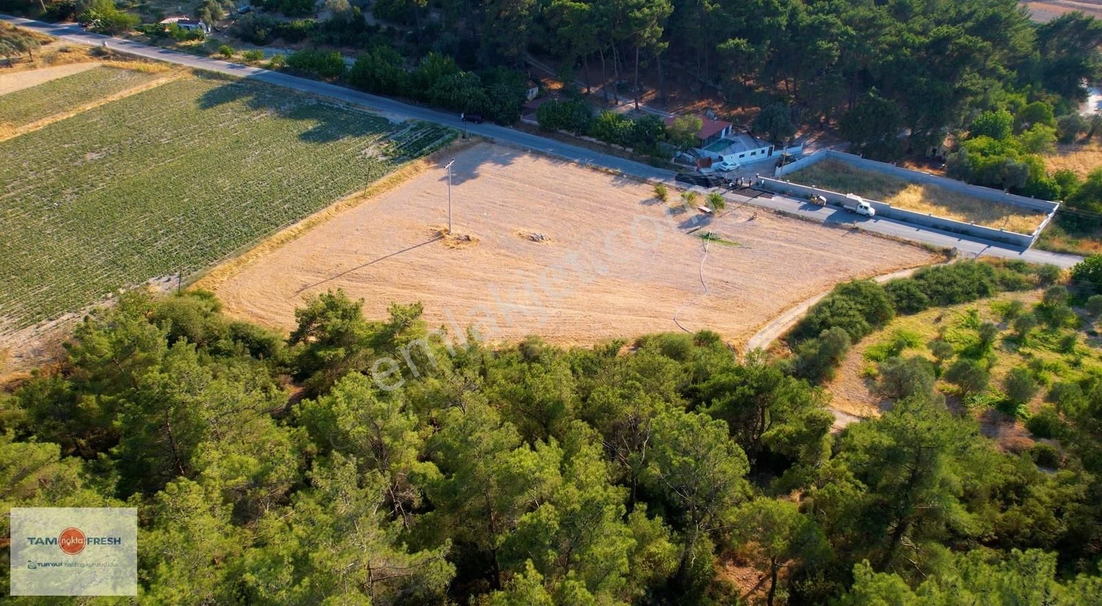 Yağcılar'da Satılık Elektriği Suyu Asfalt Yolu Olan Tarla - Görsel 24