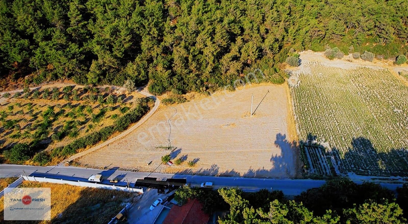 Yağcılar'da Satılık Elektriği Suyu Asfalt Yolu Olan Tarla - Görsel 6