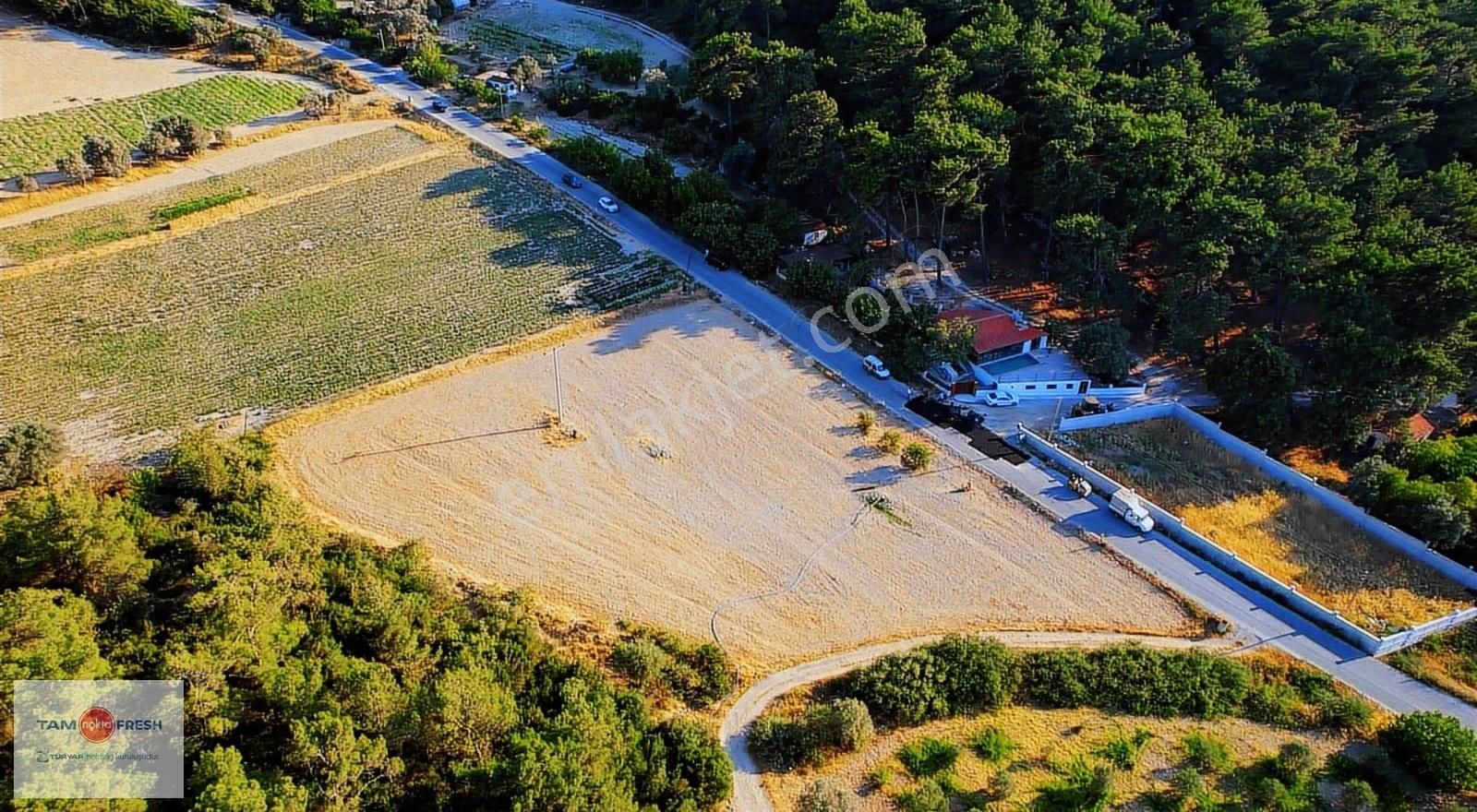 Yağcılar'da Satılık Elektriği Suyu Asfalt Yolu Olan Tarla - Görsel 7