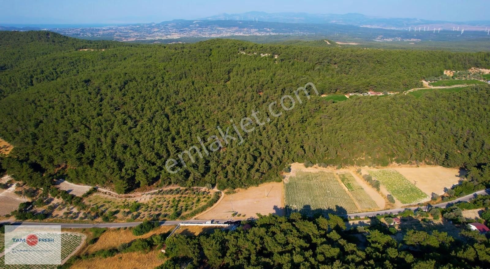 Yağcılar'da Satılık Elektriği Suyu Asfalt Yolu Olan Tarla - Görsel 22