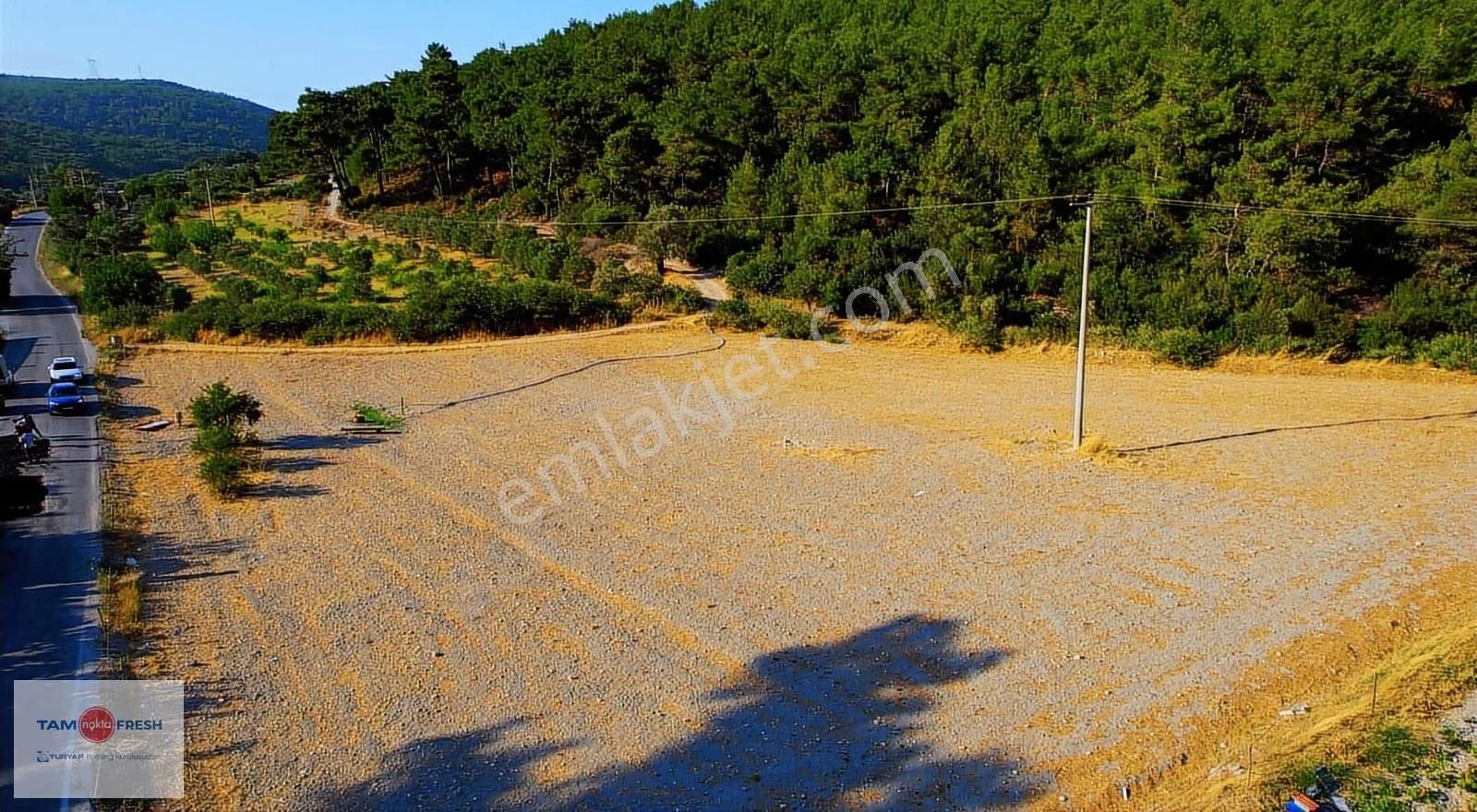 Yağcılar'da Satılık Elektriği Suyu Asfalt Yolu Olan Tarla - Görsel 12