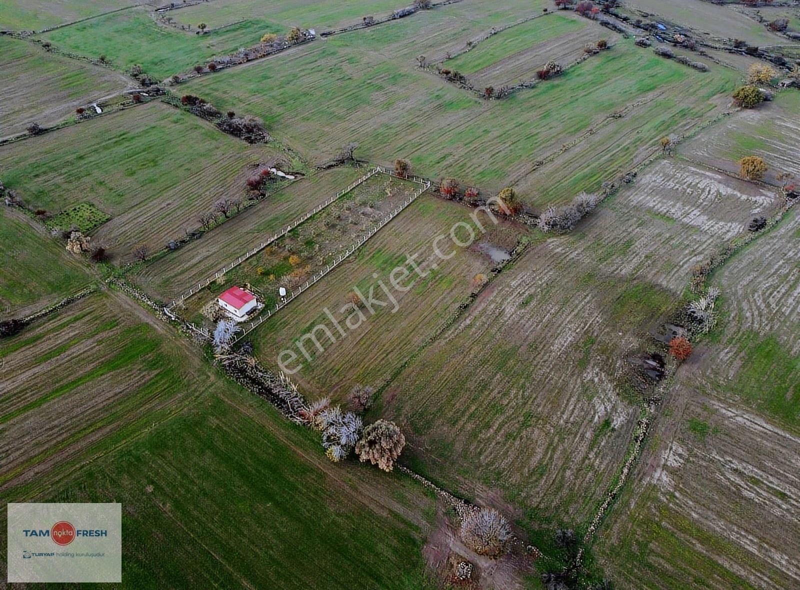 Zeytineli Alaşar Mevki Satılık Müstakil Arazi - Görsel 10