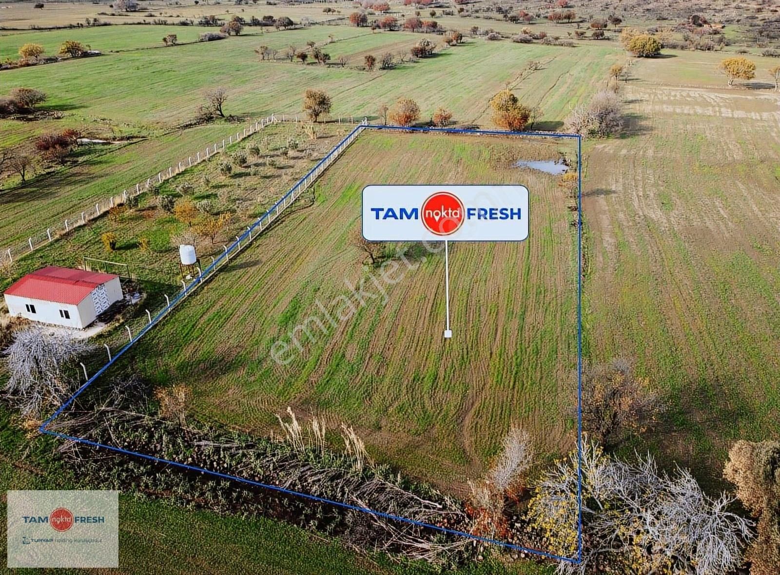 Zeytineli Alaşar Mevki Satılık Müstakil Arazi - Görsel 29