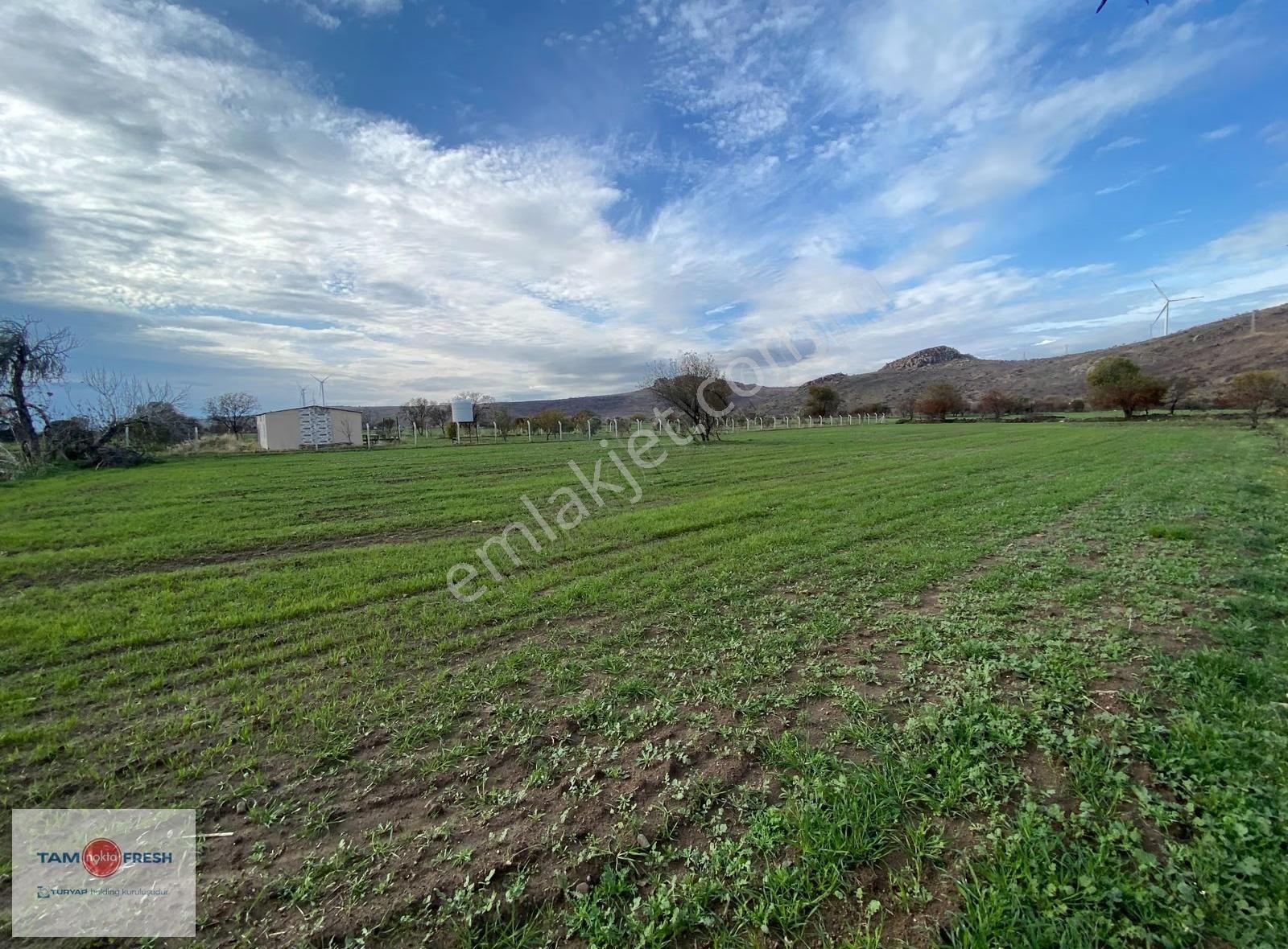 Zeytineli Alaşar Mevki Satılık Müstakil Arazi - Görsel 24