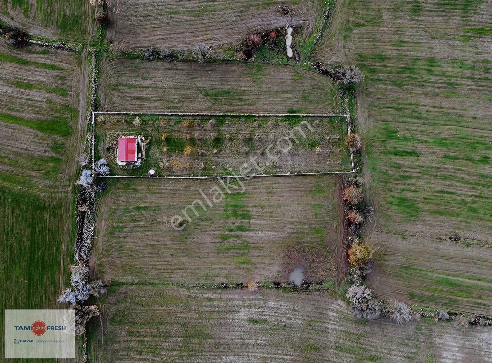Zeytineli Alaşar Mevki Satılık Müstakil Arazi - Görsel 7