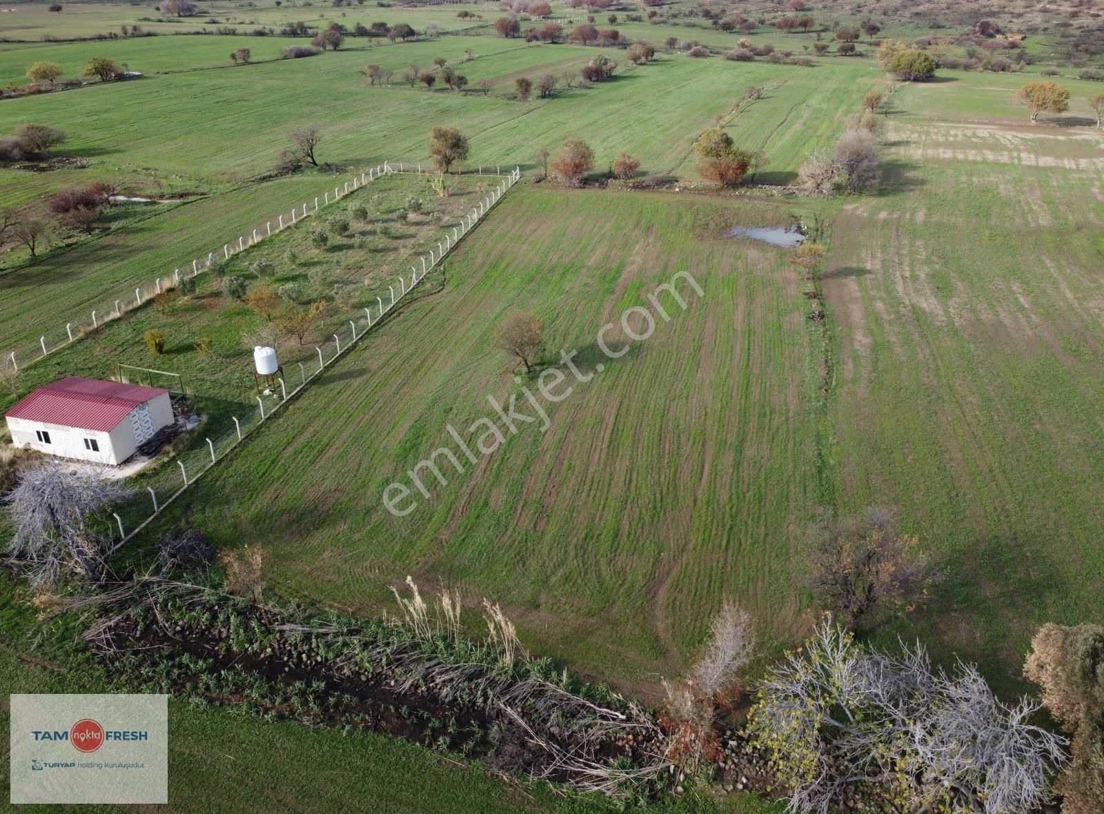 Zeytineli Alaşar Mevki Satılık Müstakil Arazi - Görsel 13