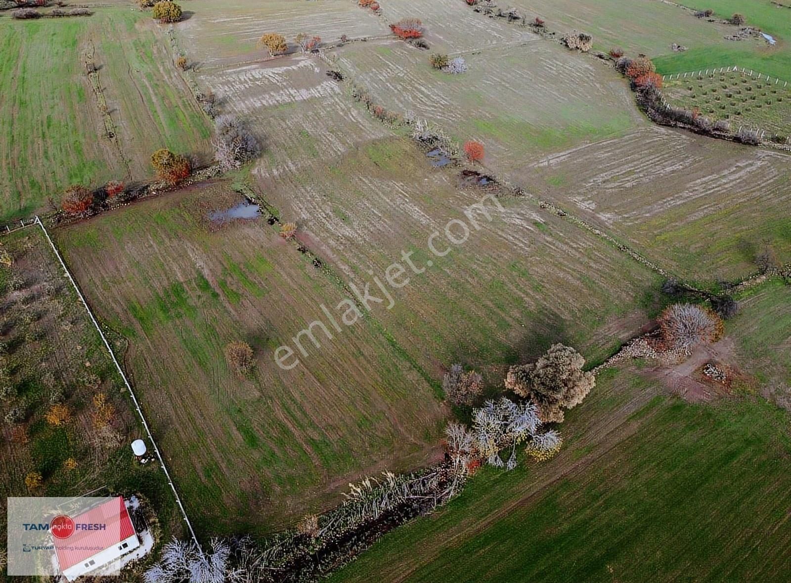 Zeytineli Alaşar Mevki Satılık Müstakil Arazi - Görsel 3