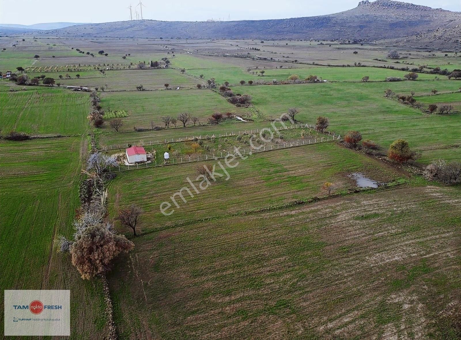 Zeytineli Alaşar Mevki Satılık Müstakil Arazi - Görsel 35