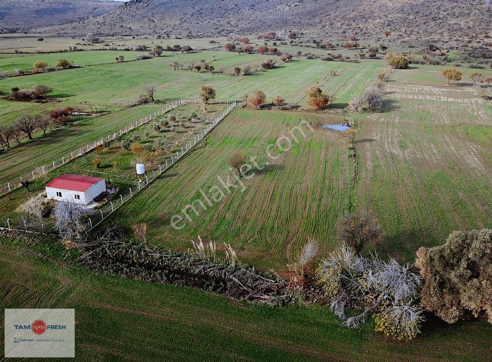 Zeytineli Alaşar Mevki Satılık Müstakil Arazi - Görsel 2