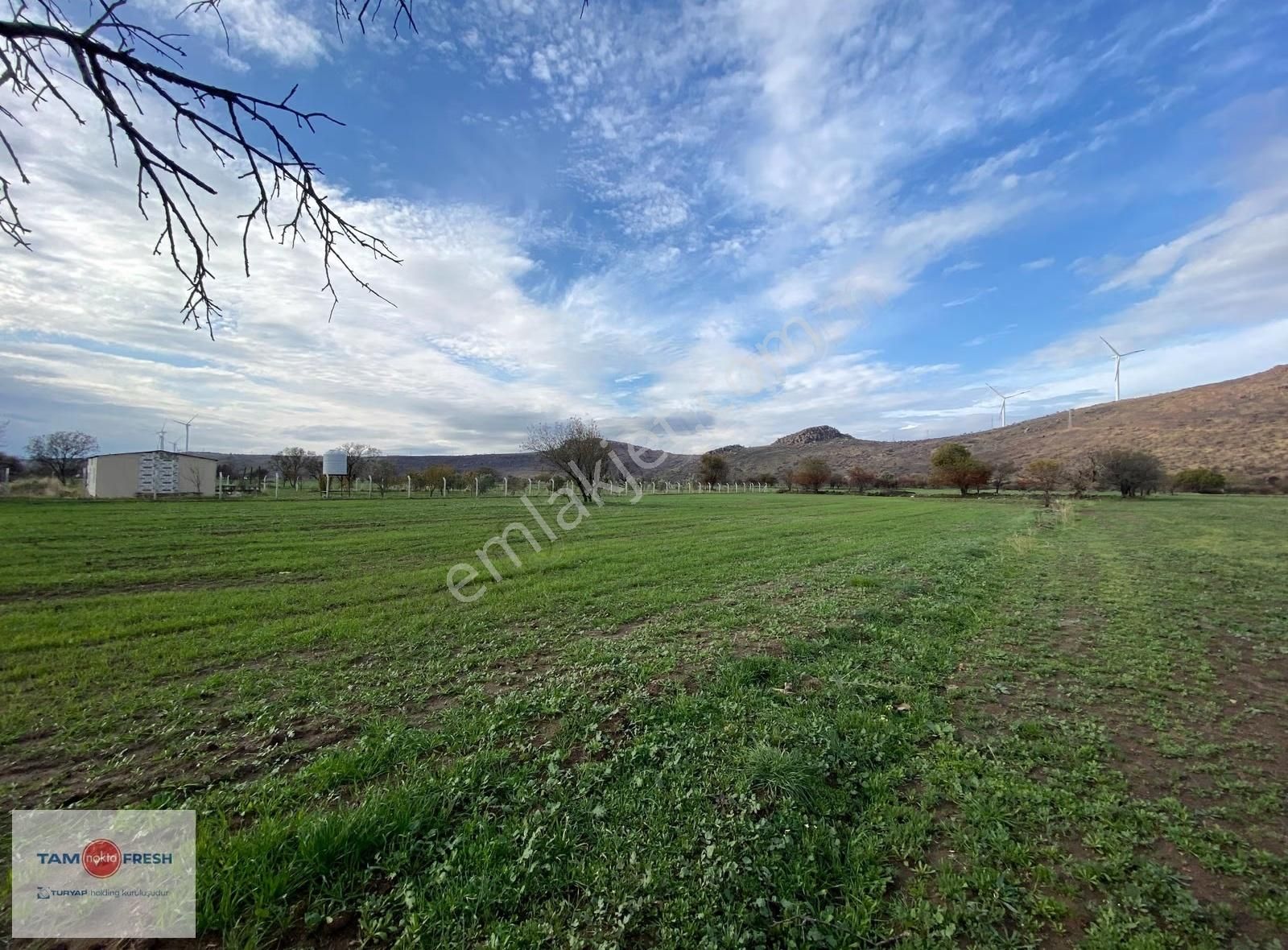 Zeytineli Alaşar Mevki Satılık Müstakil Arazi - Görsel 20