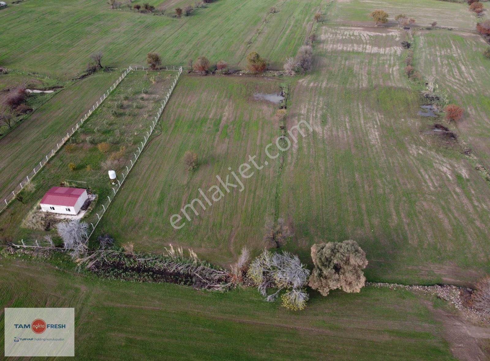 Zeytineli Alaşar Mevki Satılık Müstakil Arazi - Görsel 33