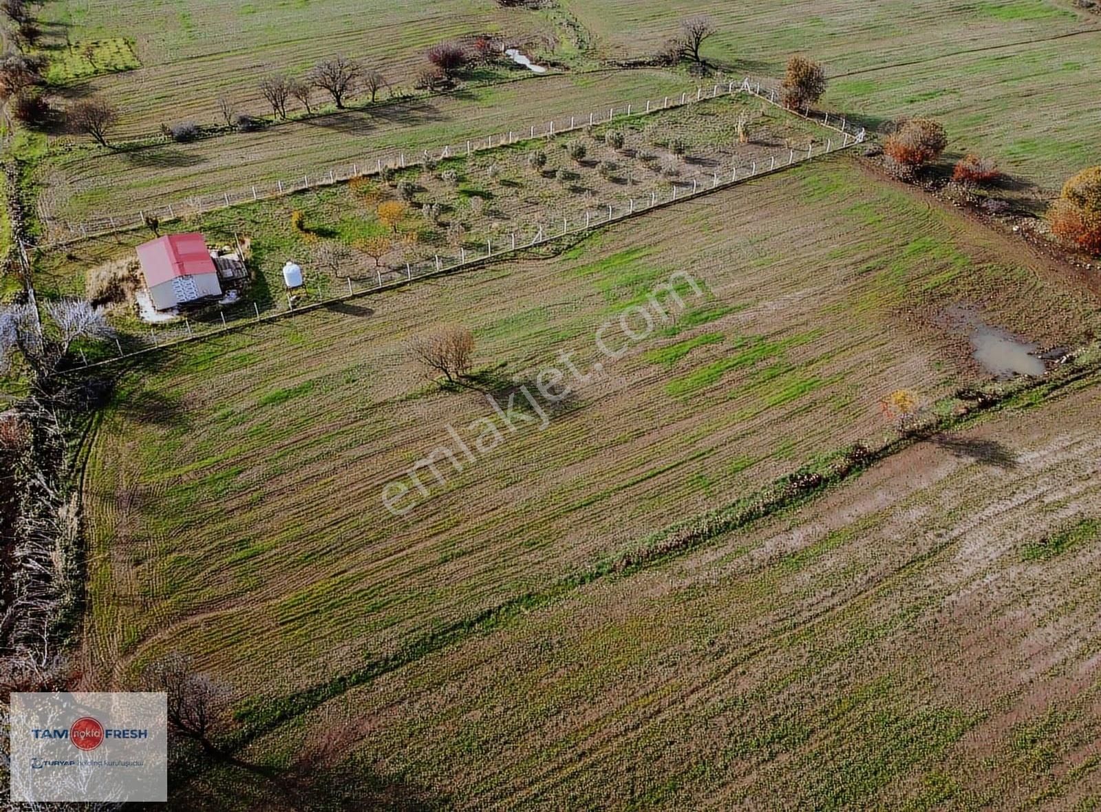 Zeytineli Alaşar Mevki Satılık Müstakil Arazi - Görsel 34
