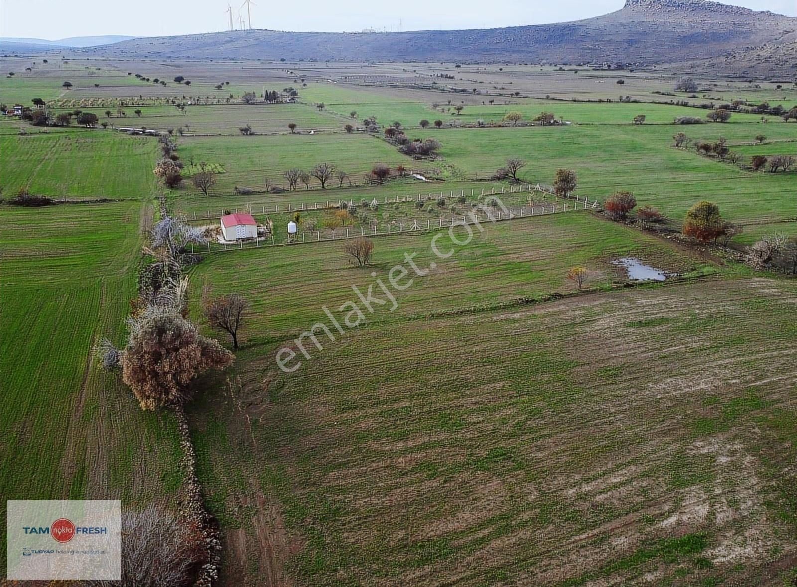 Zeytineli Alaşar Mevki Satılık Müstakil Arazi - Görsel 11
