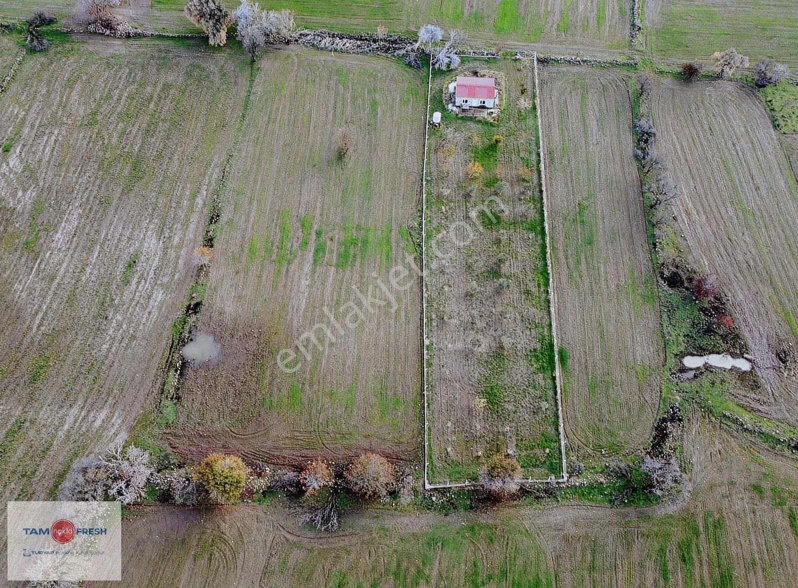 Zeytineli Alaşar Mevki Satılık Müstakil Arazi - Görsel 16