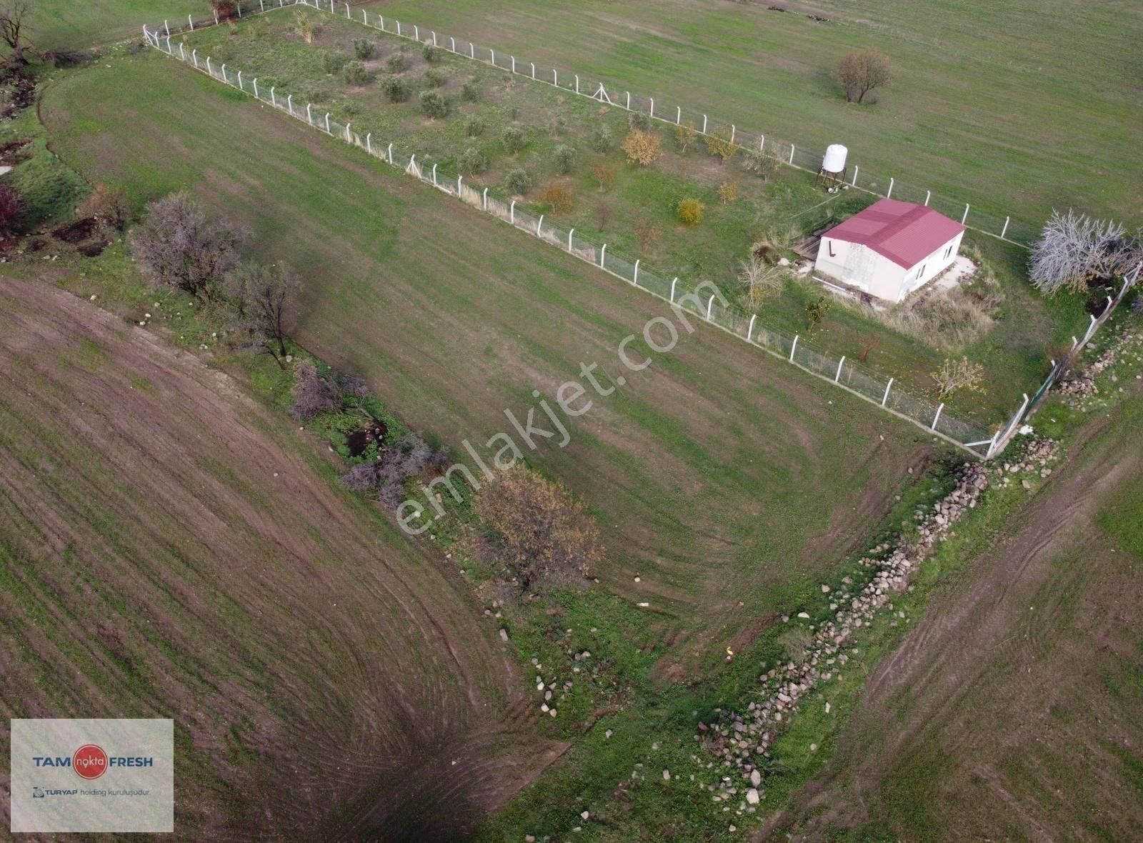Zeytineli Alaşar Mevki Satılık Müstakil Arazi - Görsel 5