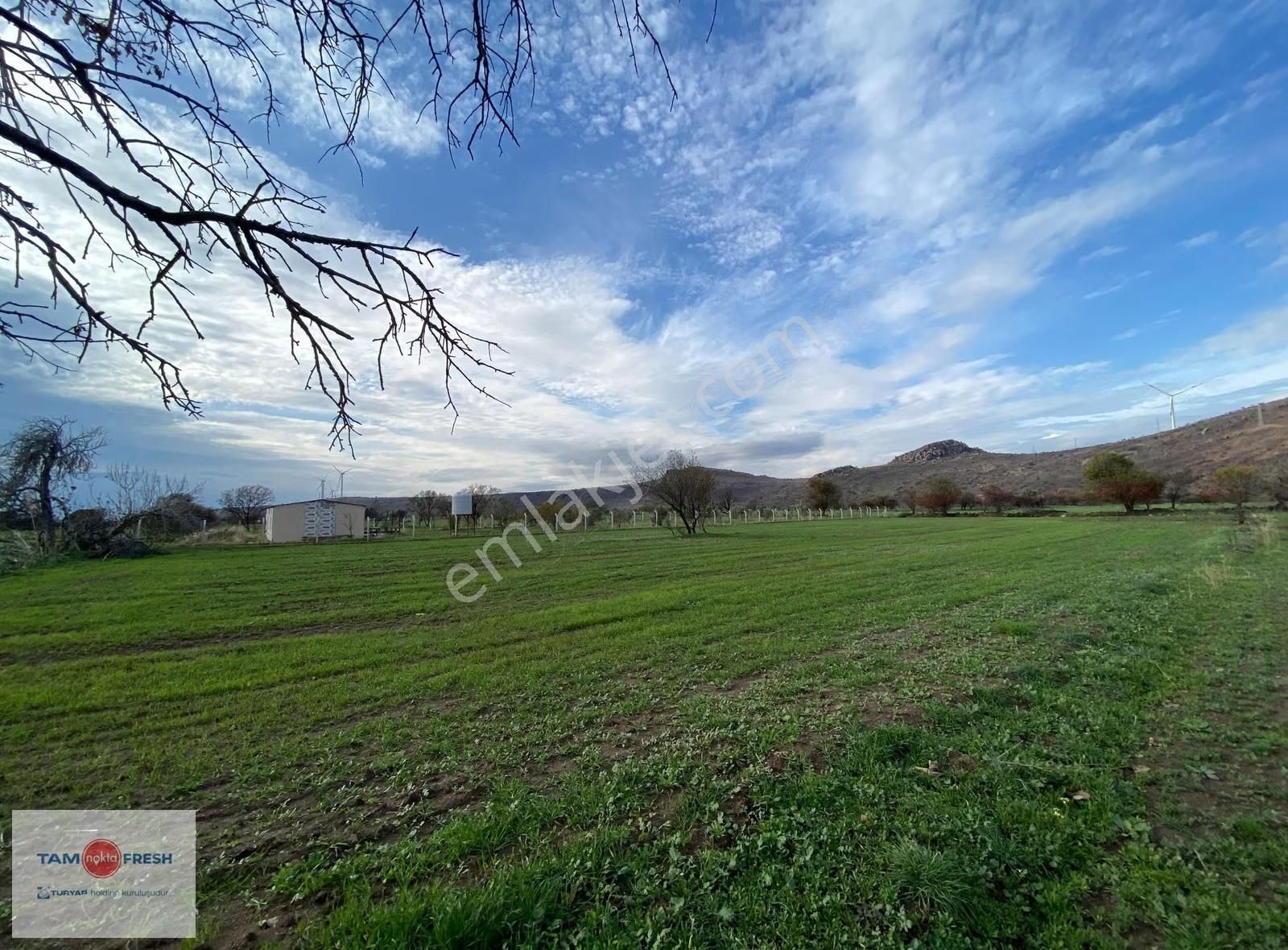 Zeytineli Alaşar Mevki Satılık Müstakil Arazi - Görsel 31