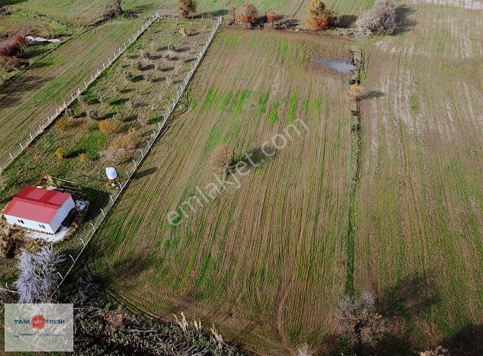 Zeytineli Alaşar Mevki Satılık Müstakil Arazi - Görsel 18