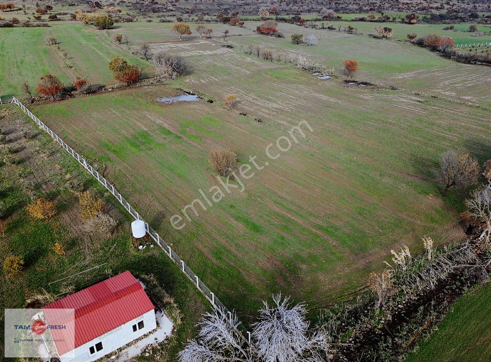 Zeytineli Alaşar Mevki Satılık Müstakil Arazi - Görsel 25