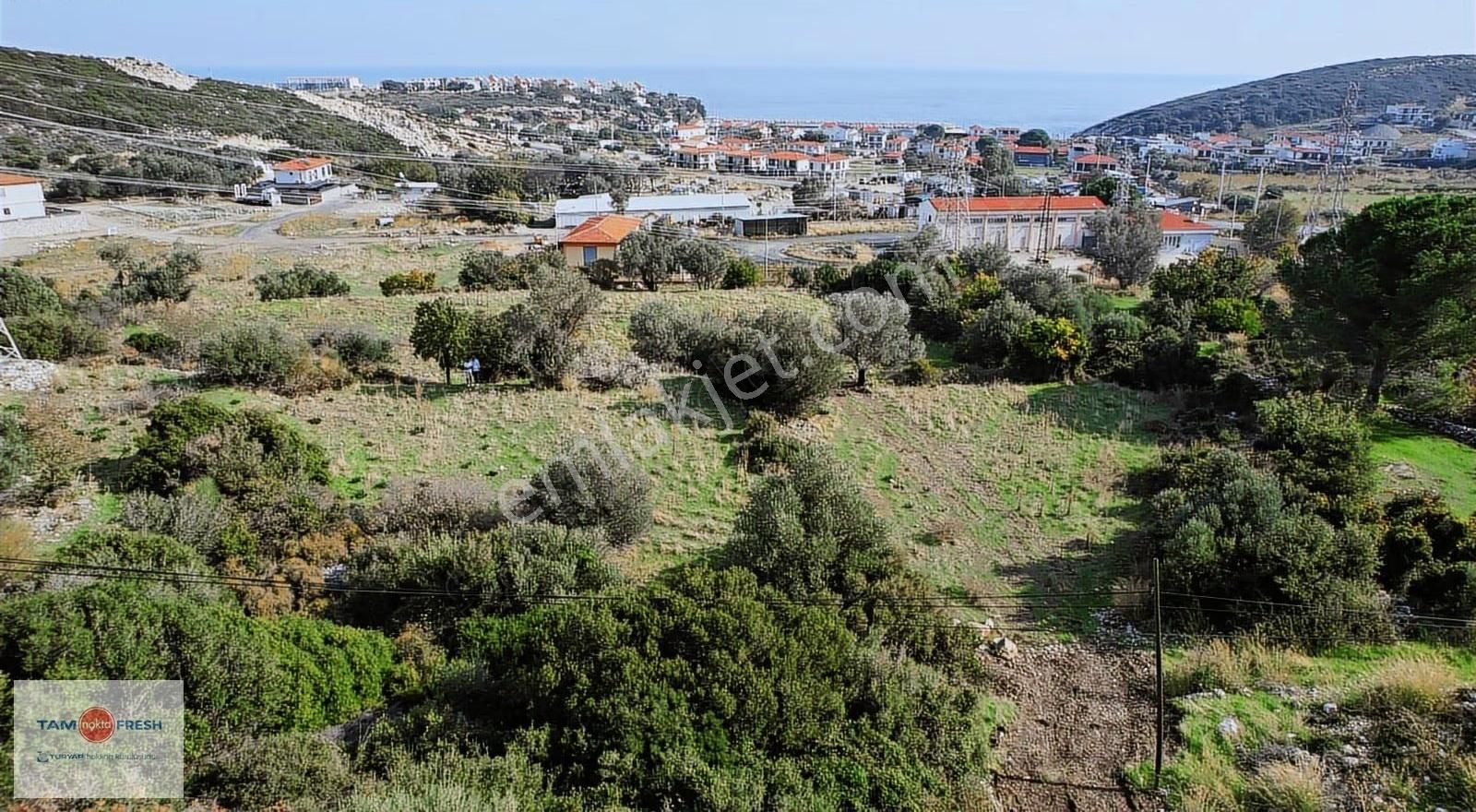 Saip'te İmar Uygulaması İçinde Satılık Tarla - Görsel 6