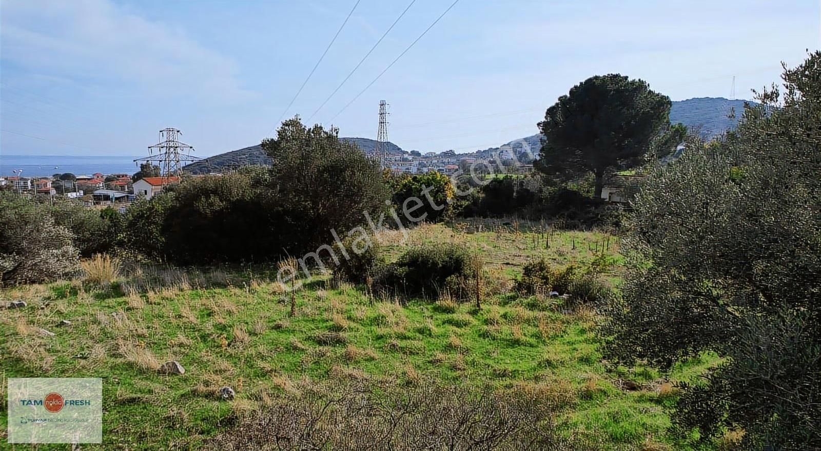 Saip'te İmar Uygulaması İçinde Satılık Tarla - Görsel 15