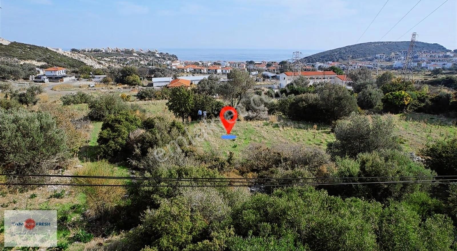 Saip'te İmar Uygulaması İçinde Satılık Tarla - Görsel 8