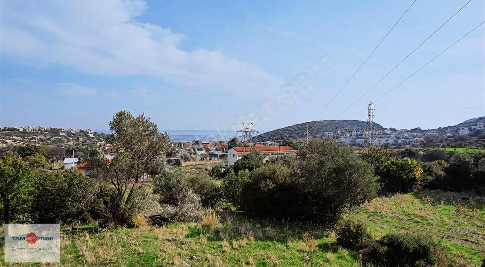 Saip'te İmar Uygulaması İçinde Satılık Tarla - Görsel 3