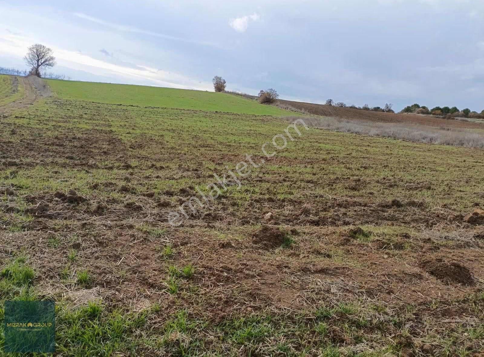 Yenişehir Havaalanına 7 Km Süper Yatırım Fırsatı 2.4 Dönüm - Görsel 5