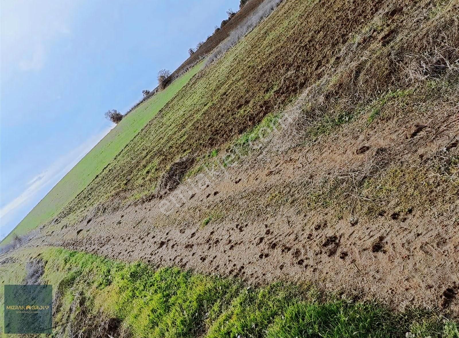 Yenişehir Havaalanına 7 Km Süper Yatırım Fırsatı 2.4 Dönüm - Görsel 6