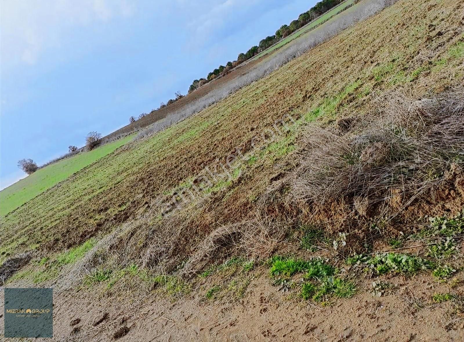 Yenişehir Havaalanına 7 Km Süper Yatırım Fırsatı 2.4 Dönüm - Görsel 4