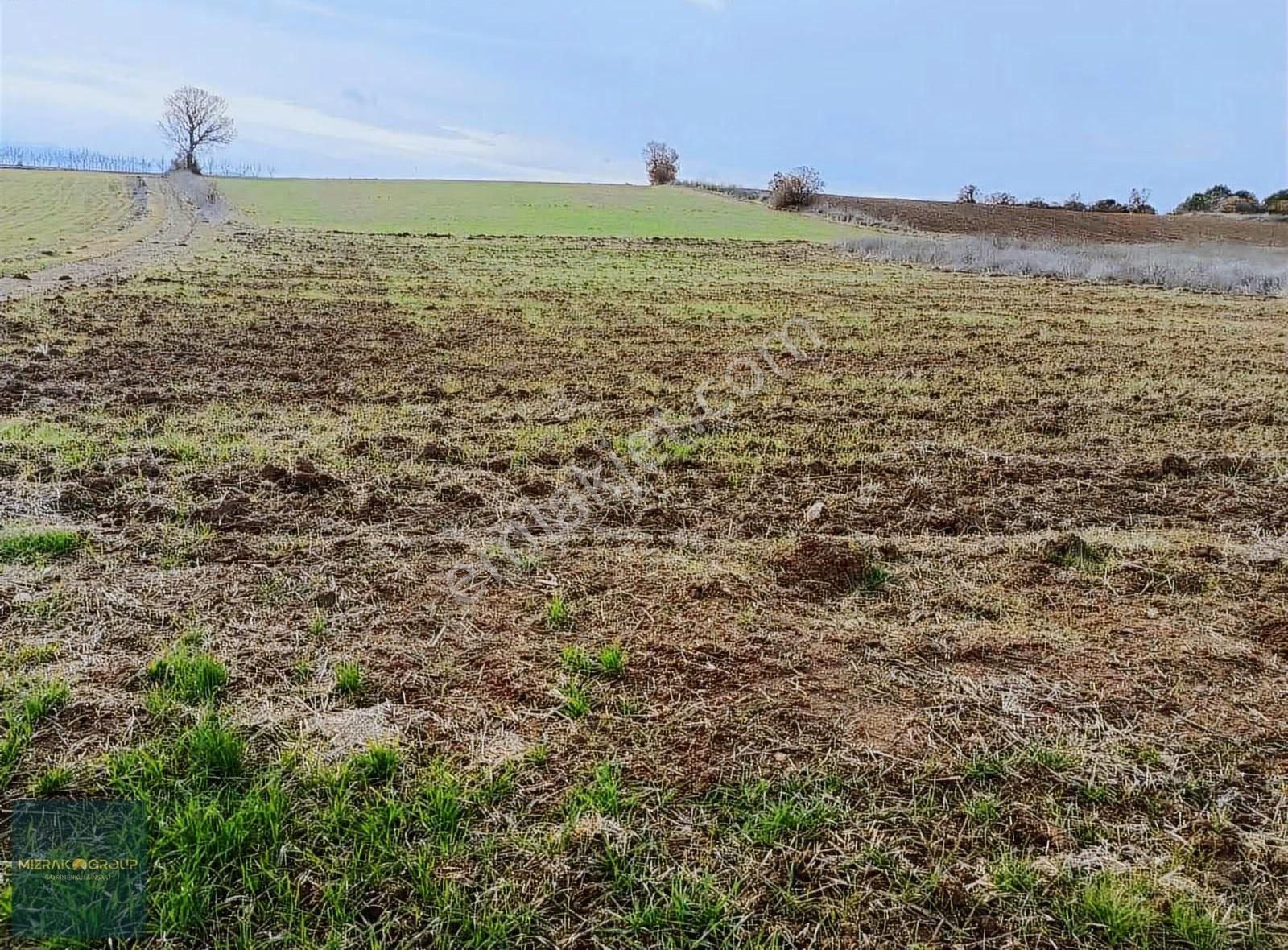 Yenişehir Havaalanına 7 Km Süper Yatırım Fırsatı 2.4 Dönüm - Görsel 7