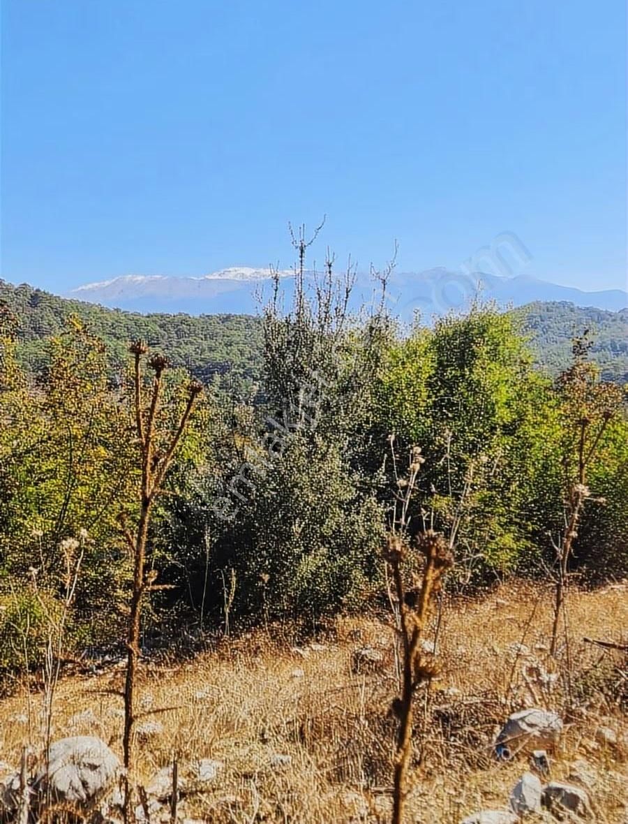 Gökben Mh.1780 M2 Satılık Tarla. - Görsel 2