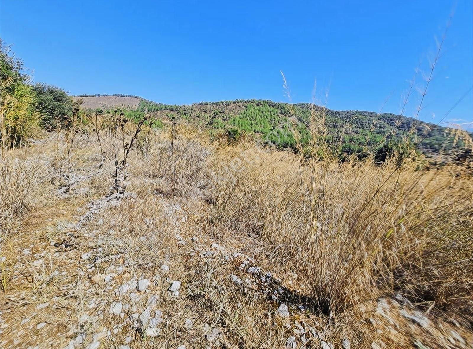 Gökben Mh.1780 M2 Satılık Tarla.