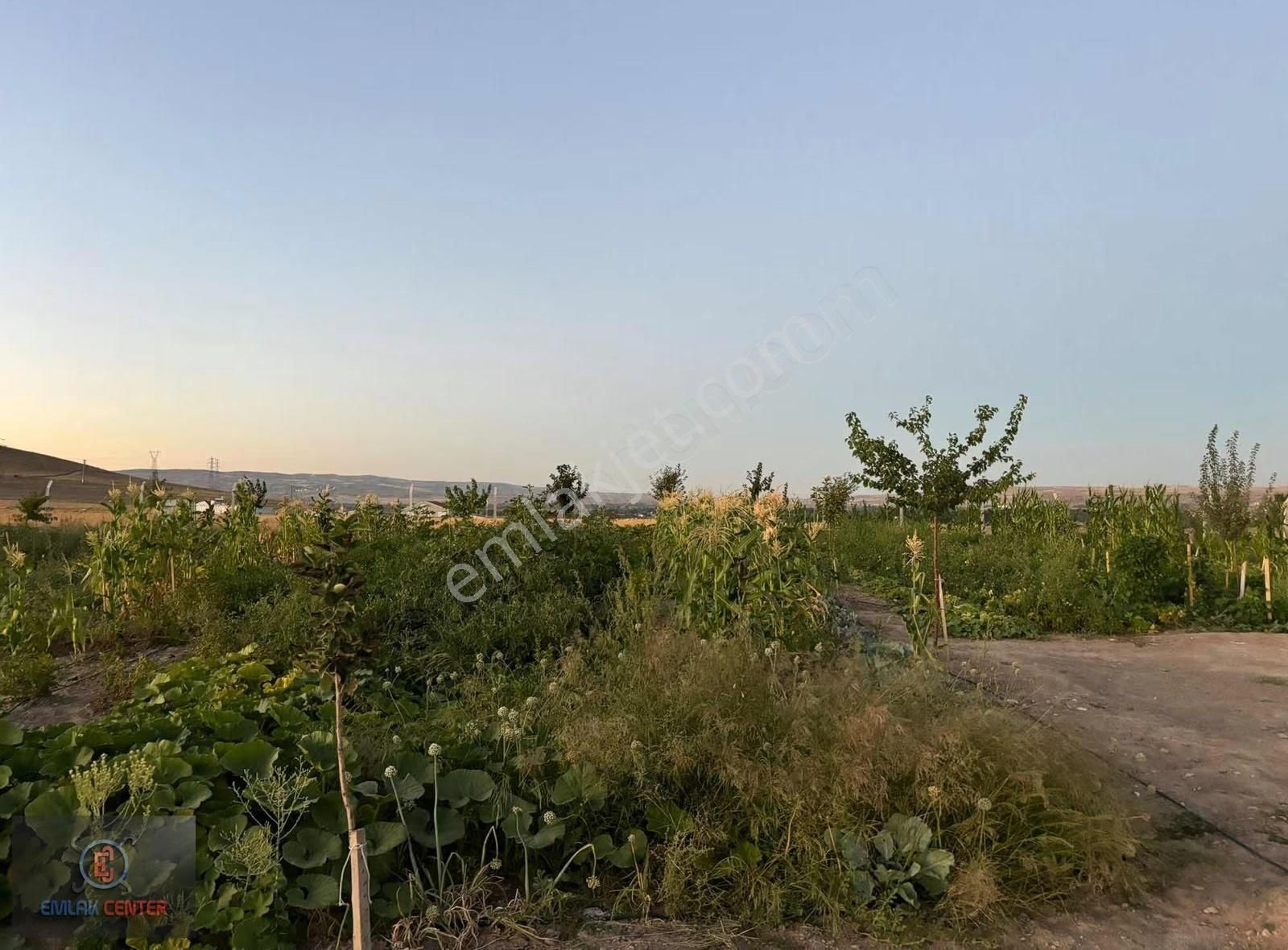Beyazşehir Karşısı Cırgalanda 1563 M2 Arsa - Görsel 4