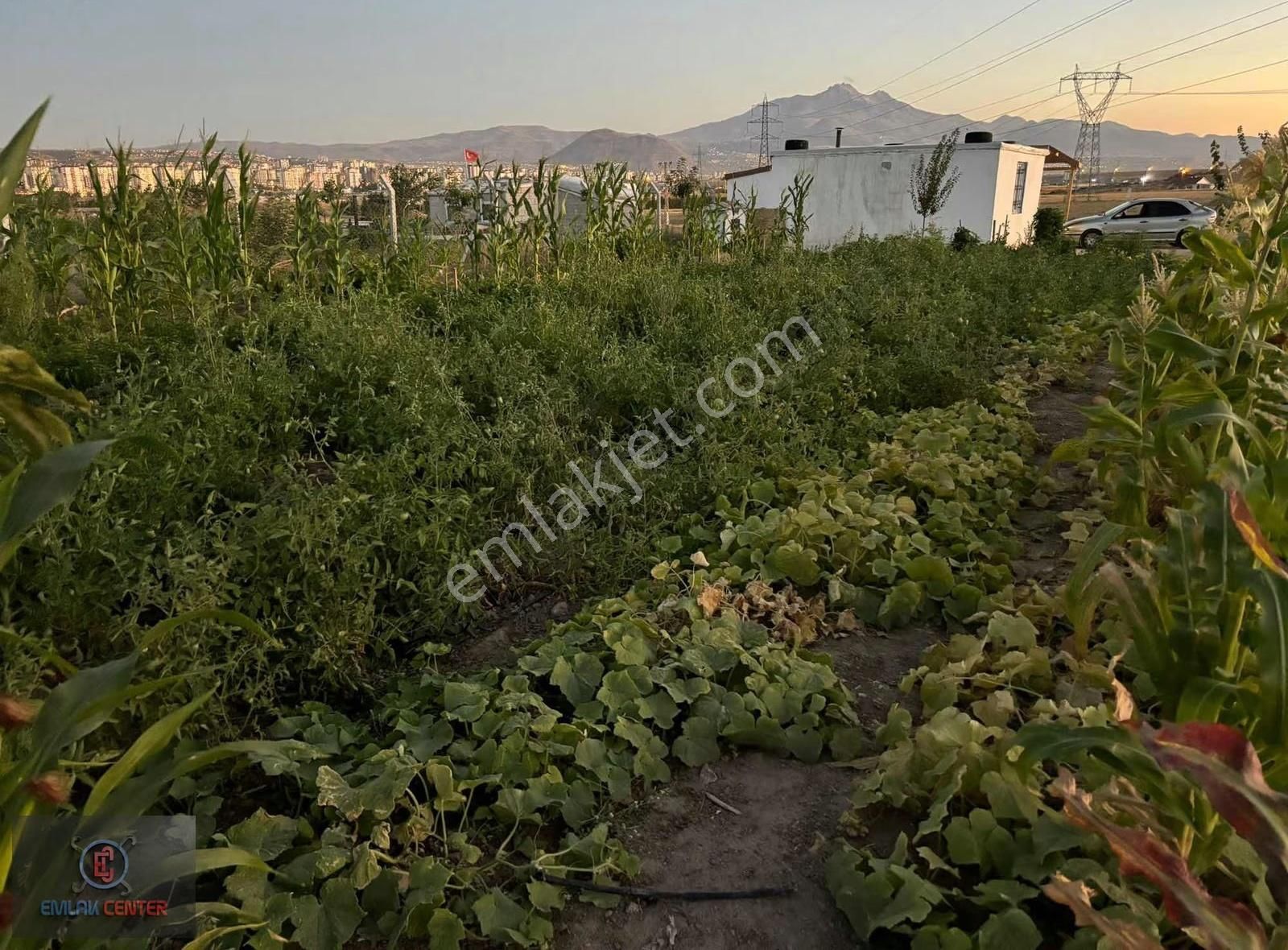 Beyazşehir Karşısı Cırgalanda 1563 M2 Arsa - Görsel 5
