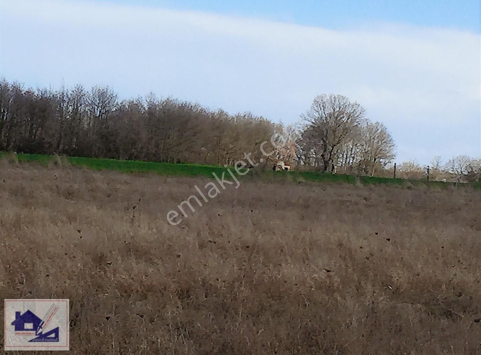 Emlakhan Gyd Silivri Çayırdere'de 467 M2 Çok Acil Satılık Tarla - Görsel 28