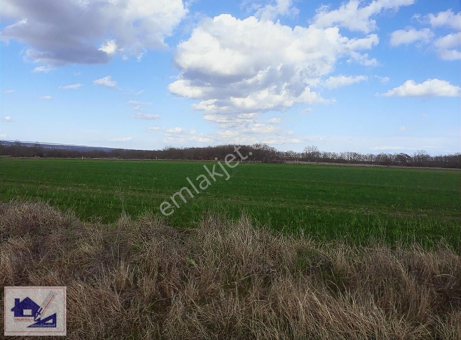 Emlakhan Gyd Silivri Çayırdere'de 467 M2 Çok Acil Satılık Tarla - Görsel 29