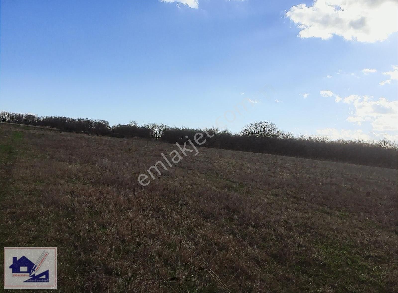 Emlakhan Gyd Silivri Çayırdere'de 467 M2 Çok Acil Satılık Tarla - Görsel 23